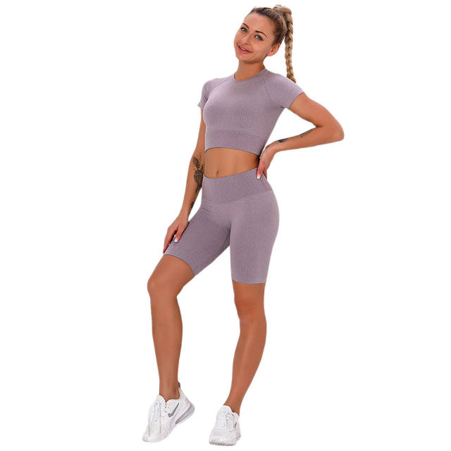 Dark Purple Seamless Short Sleeve Yoga Sports Set TQE00138-35