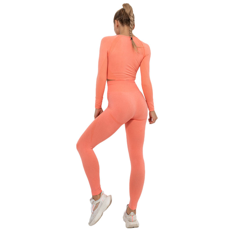 Rustic Coral Seamless Long Sleeve Yoga Sports Set TQE00135-84
