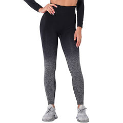 Black Gradient Long Sleeve Sports Set TQE00131-2