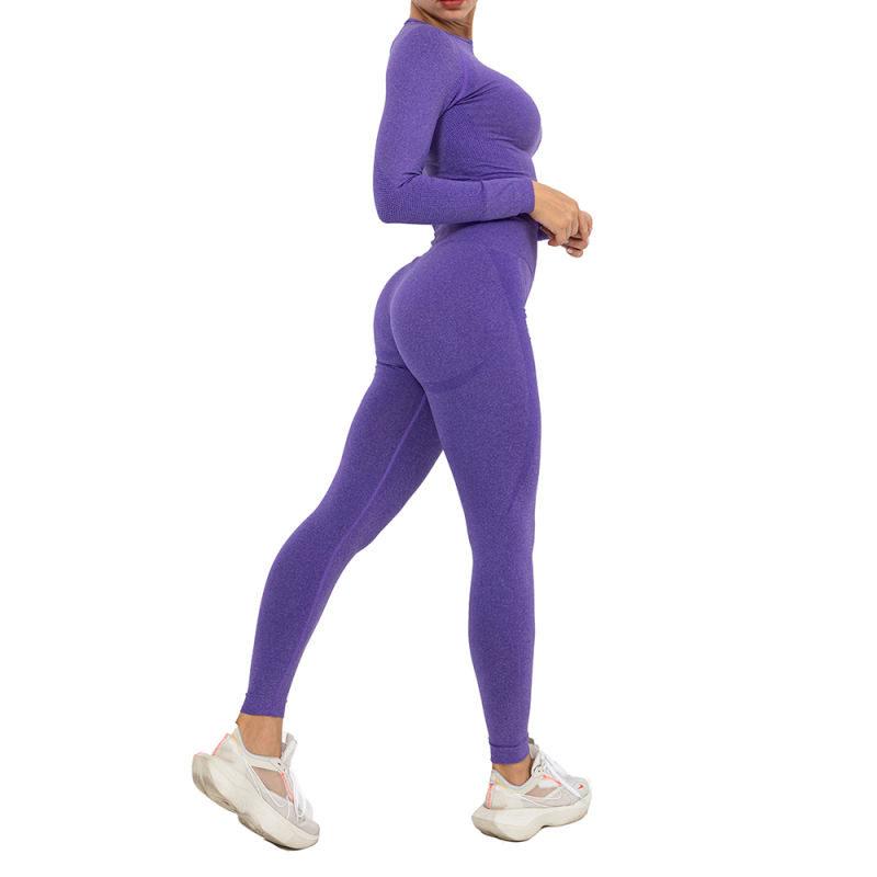 Purple Seamless Long Sleeve Yoga Sports Set TQE00135-8