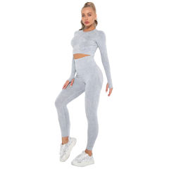 Light Gray Nylon Seamless Long Sleeve Pant Yoga Set TQE91361-112