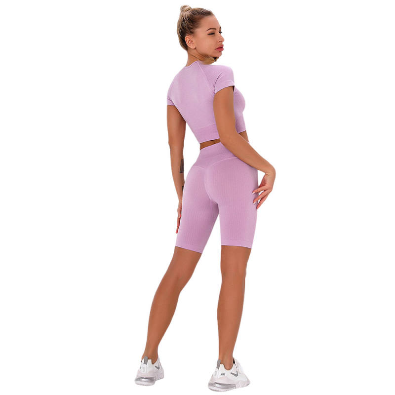 Pink Taupe Seamless Short Sleeve Yoga Sports Set TQE00138-87