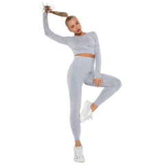 Light Gray Nylon Seamless Long Sleeve Pant Yoga Set TQE91361-112