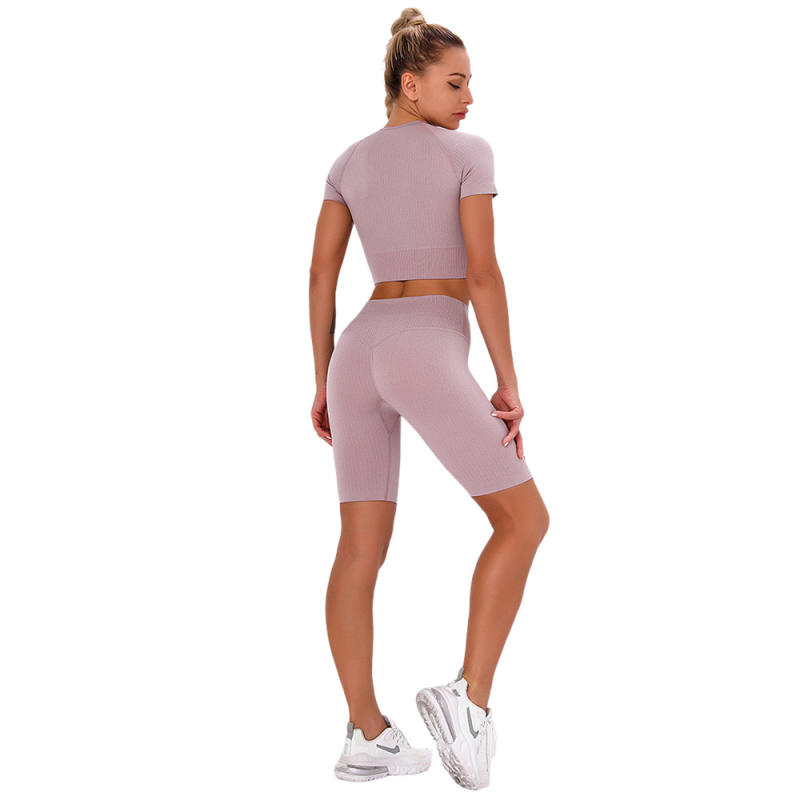 Light Purple Seamless Short Sleeve Yoga Sports Set TQE00138-38