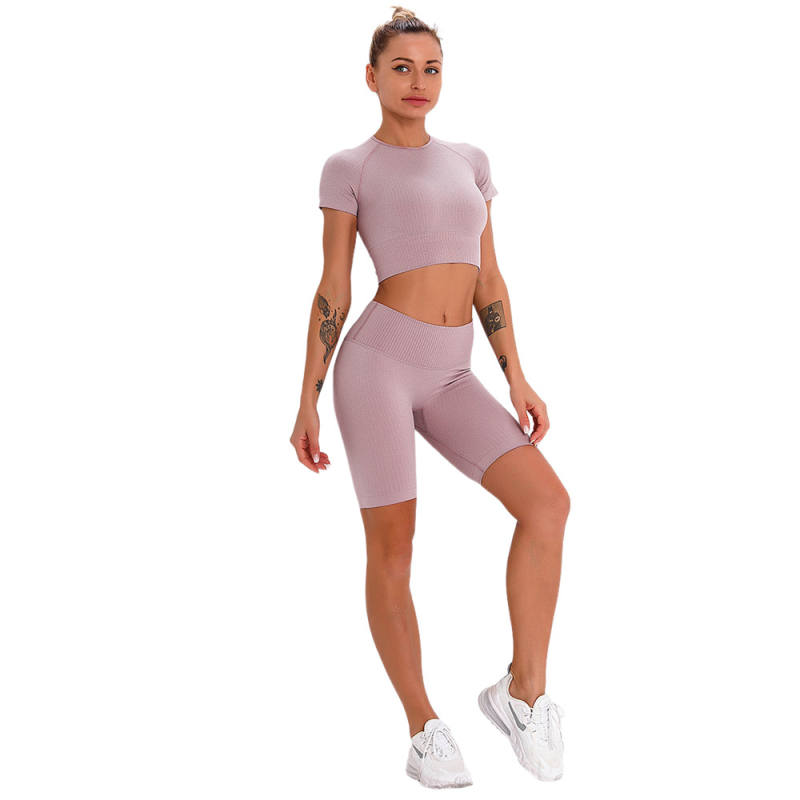 Light Purple Seamless Short Sleeve Yoga Sports Set TQE00138-38