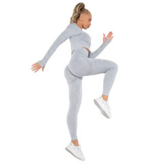 Light Gray Nylon Seamless Long Sleeve Pant Yoga Set TQE91361-112