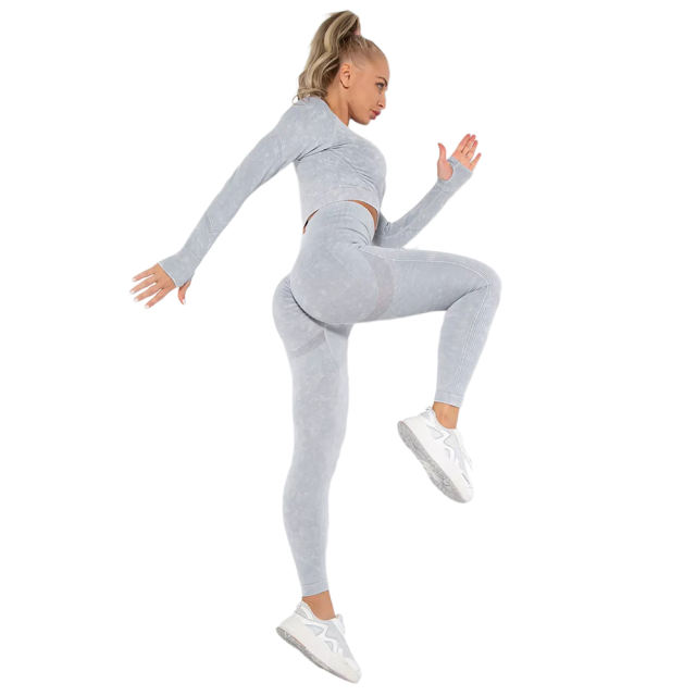 Light Gray Nylon Seamless Long Sleeve Pant Yoga Set TQE91361-112