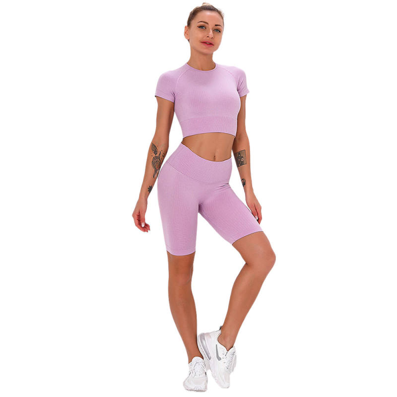 Pink Taupe Seamless Short Sleeve Yoga Sports Set TQE00138-87