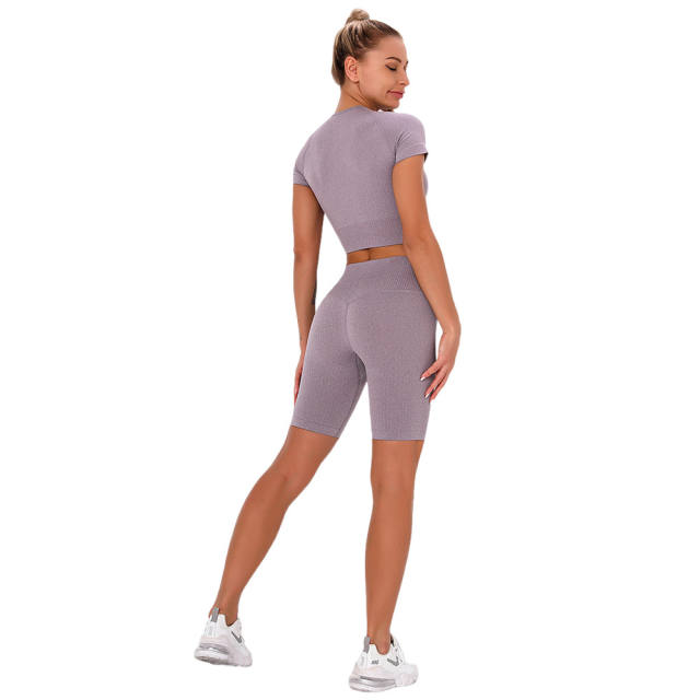 Dark Purple Seamless Short Sleeve Yoga Sports Set TQE00138-35