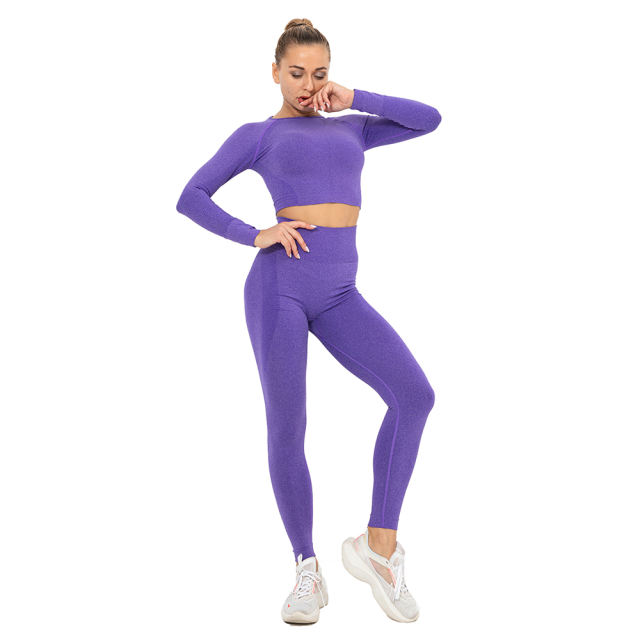 Purple Seamless Long Sleeve Yoga Sports Set TQE00135-8
