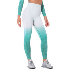 Green Gradient Long Sleeve Sports Set TQE00131-9