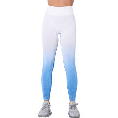 Blue Gradient Long Sleeve Sports Set TQE00131-5