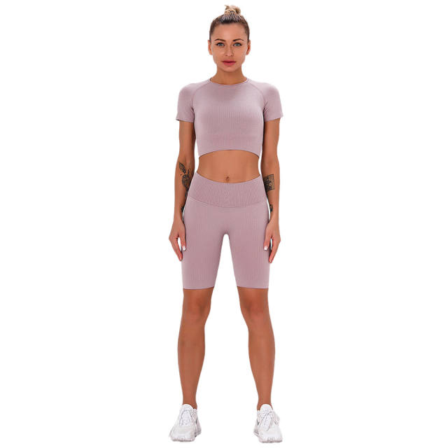 Light Purple Seamless Short Sleeve Yoga Sports Set TQE00138-38