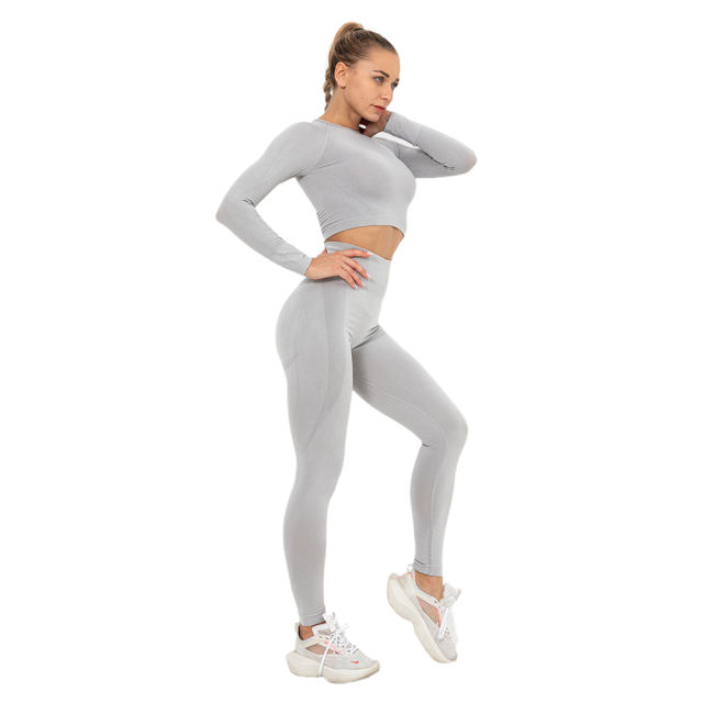 Light Grey Seamless Long Sleeve Yoga Sports Set TQE00135-112