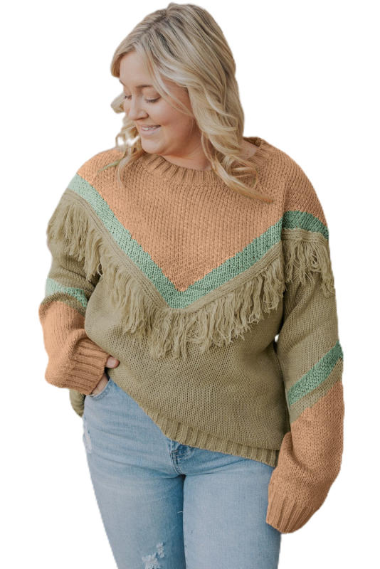 Multicolor Color Mixed Fringe Pullover Plus Size Sweater PL272062-22