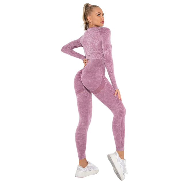 Wine Red Nylon Seamless Long Sleeve Pant Yoga Set TQE91361-103