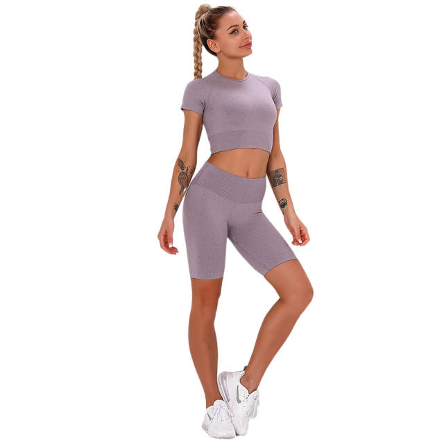 Dark Purple Seamless Short Sleeve Yoga Sports Set TQE00138-35