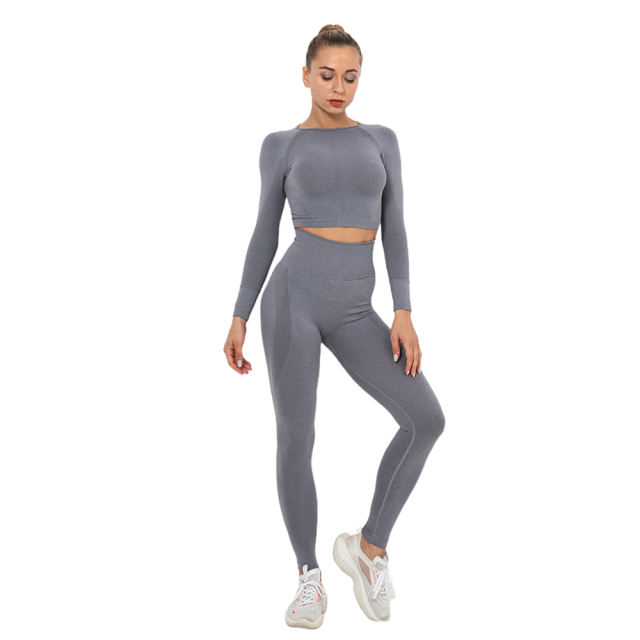 Gray Seamless Long Sleeve Yoga Sports Set TQE00135-11