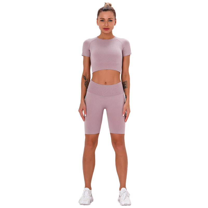 Light Purple Seamless Short Sleeve Yoga Sports Set TQE00138-38