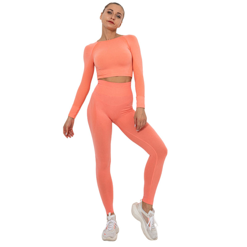 Rustic Coral Seamless Long Sleeve Yoga Sports Set TQE00135-84