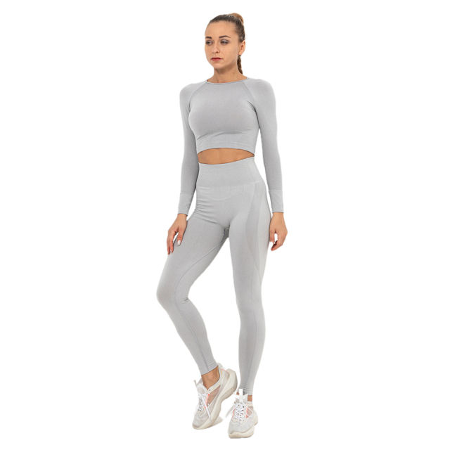 Light Grey Seamless Long Sleeve Yoga Sports Set TQE00135-112