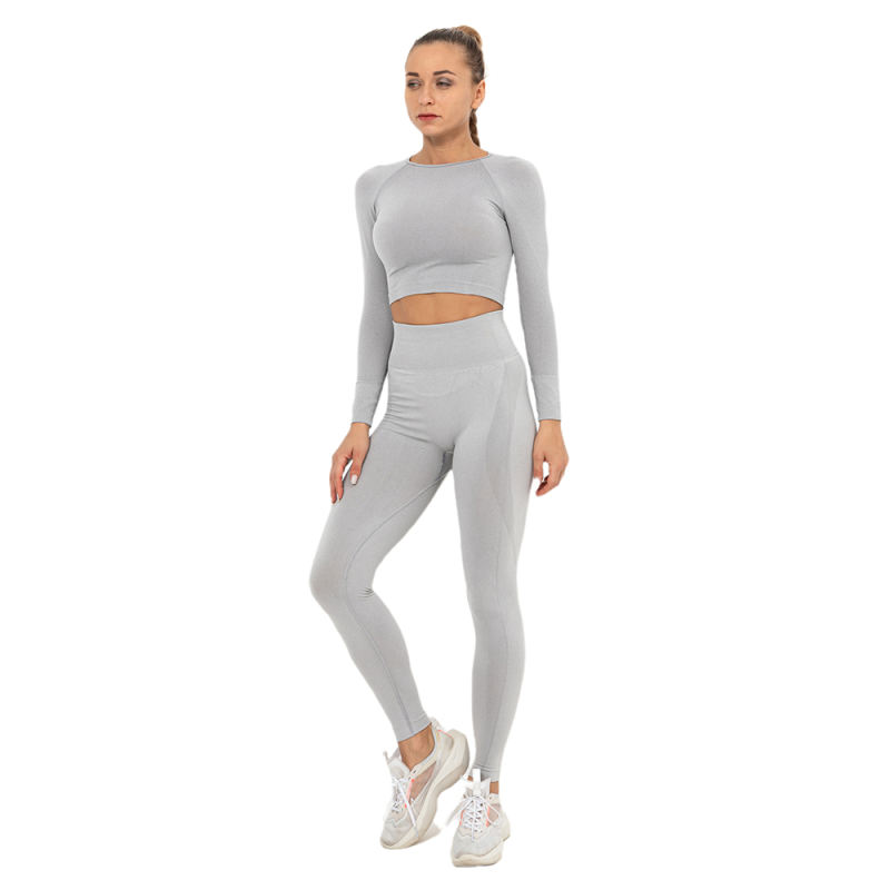 Light Grey Seamless Long Sleeve Yoga Sports Set TQE00135-112