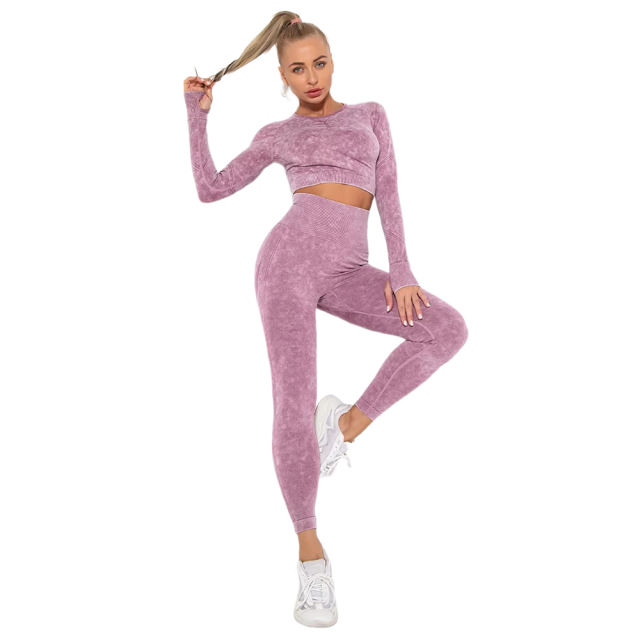 Wine Red Nylon Seamless Long Sleeve Pant Yoga Set TQE91361-103