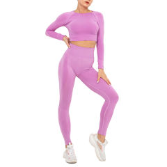 Rosy Seamless Long Sleeve Yoga Sports Set TQE00135-6