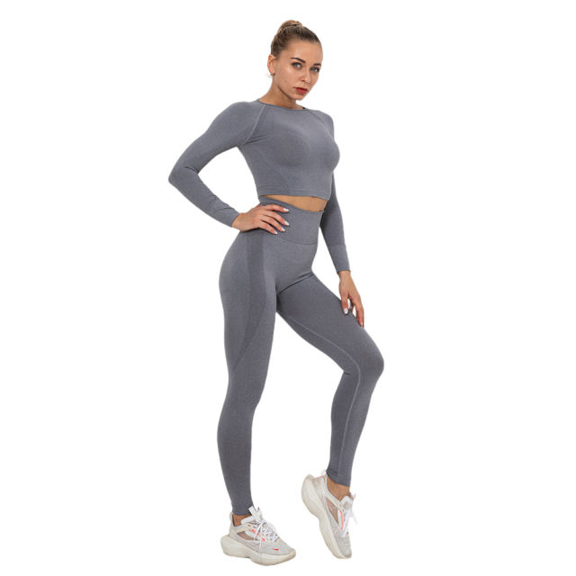 Gray Seamless Long Sleeve Yoga Sports Set TQE00135-11