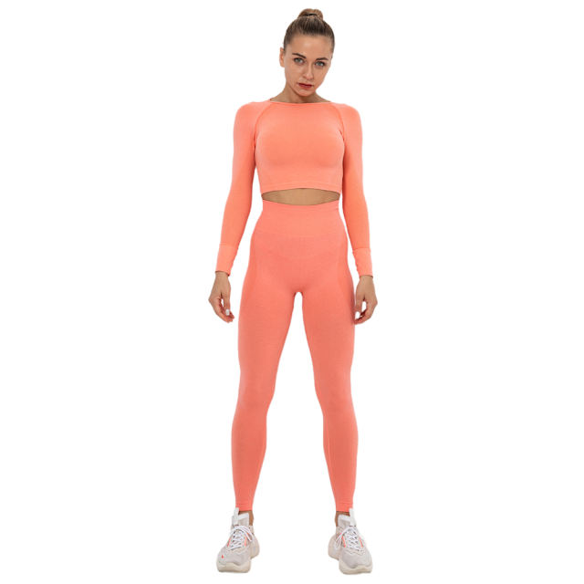 Rustic Coral Seamless Long Sleeve Yoga Sports Set TQE00135-84