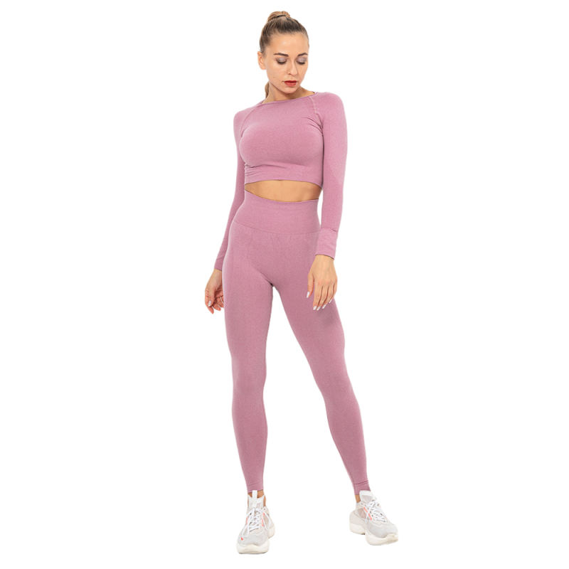 Cameo Seamless Long Sleeve Yoga Sports Set TQE00135-47