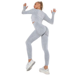 Light Gray Nylon Seamless Long Sleeve Pant Yoga Set TQE91361-112