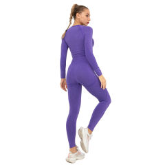 Purple Seamless Long Sleeve Yoga Sports Set TQE00135-8