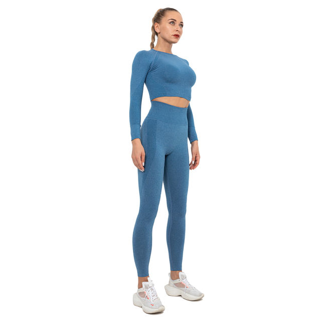 Ink Blue Seamless Long Sleeve Yoga Sports Set TQE00135-81
