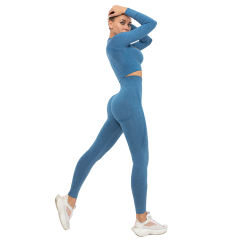 Ink Blue Seamless Long Sleeve Yoga Sports Set TQE00135-81