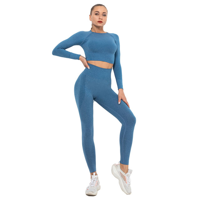 Ink Blue Seamless Long Sleeve Yoga Sports Set TQE00135-81