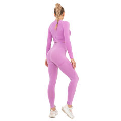 Rosy Seamless Long Sleeve Yoga Sports Set TQE00135-6