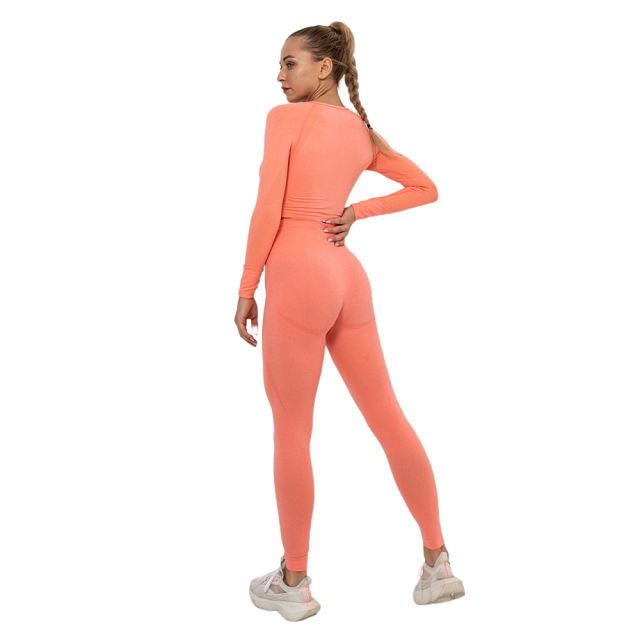 Rustic Coral Seamless Long Sleeve Yoga Sports Set TQE00135-84