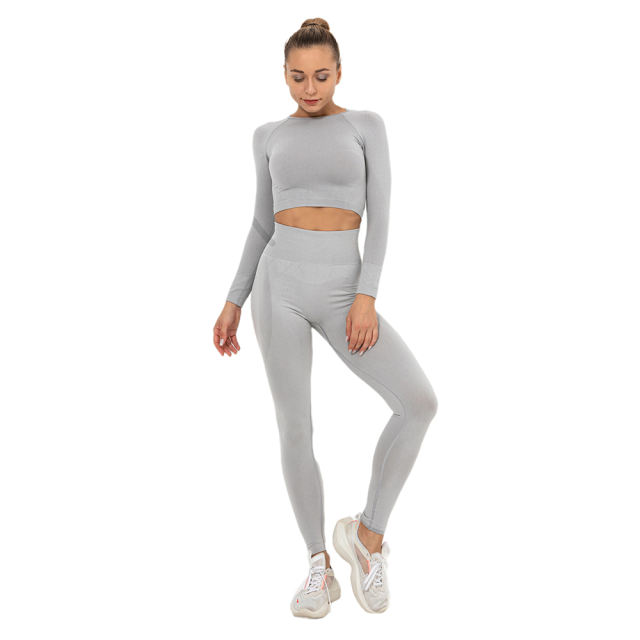 Light Grey Seamless Long Sleeve Yoga Sports Set TQE00135-112
