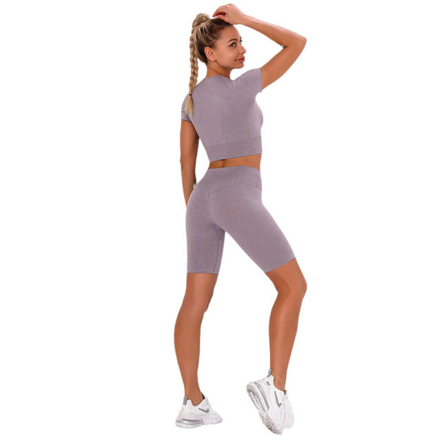 Dark Purple Seamless Short Sleeve Yoga Sports Set TQE00138-35