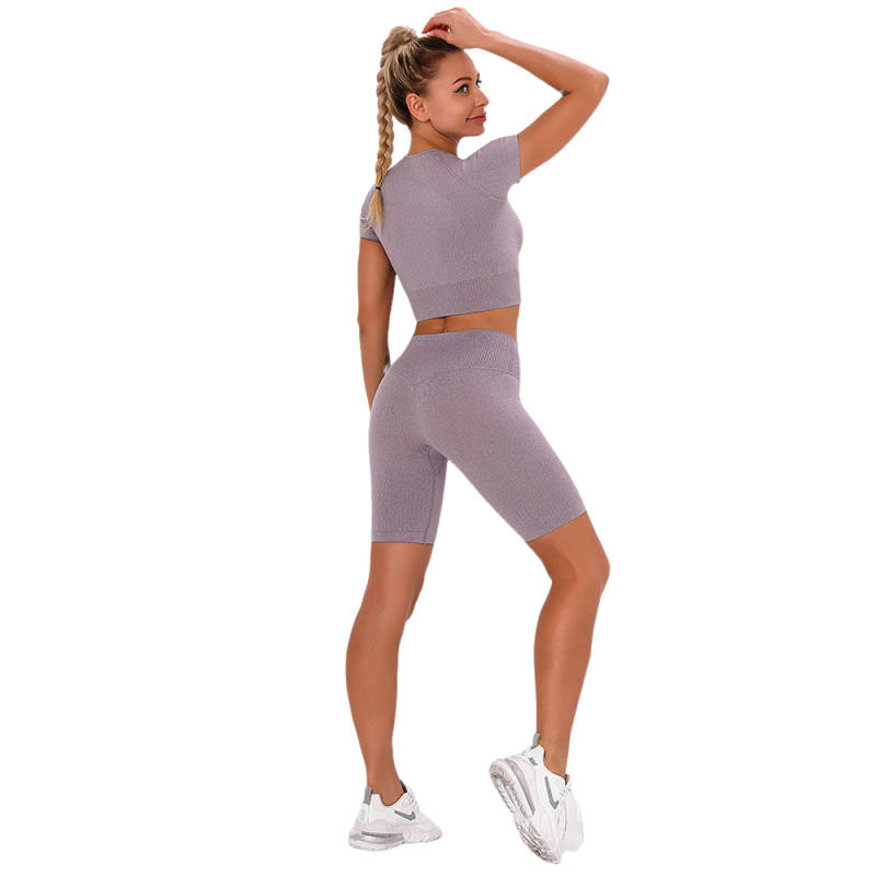 Dark Purple Seamless Short Sleeve Yoga Sports Set TQE00138-35