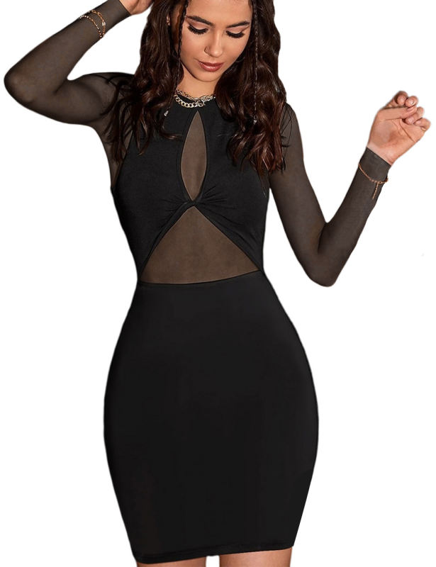 Black Spliched Mesh Long Sleeve Bodycon Dress