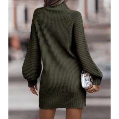 Dark Green Turtleneck Knit Sweater Dress