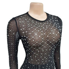 Black Sheer Mesh Rhinestones Long Sleeve Maxi Dress
