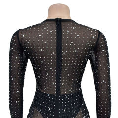Black Sheer Mesh Rhinestones Long Sleeve Maxi Dress
