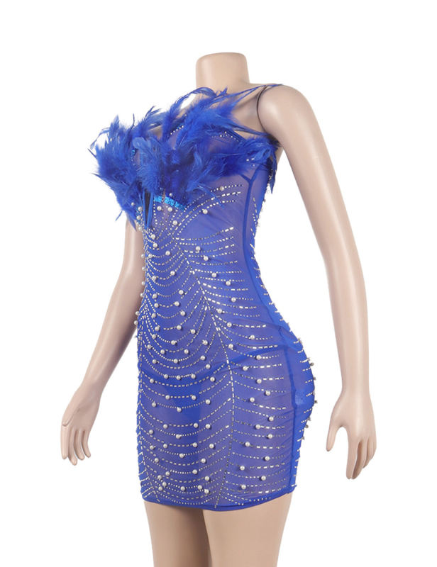 Blue Feather Detail Rhinestones Mesh Bodycon Dress