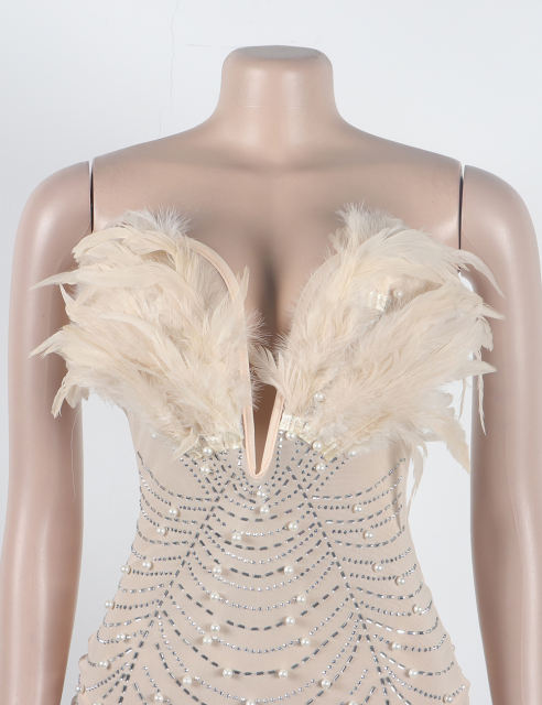 Apricot Feather Detail Rhinestones Mesh Bodycon Dress