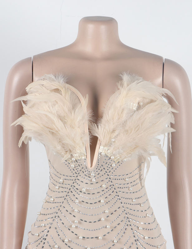 Apricot Feather Detail Rhinestones Mesh Bodycon Dress