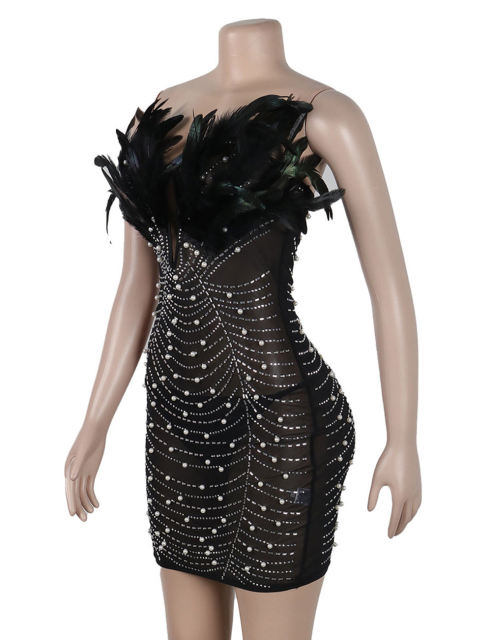 Black Feather Detail Rhinestones Mesh Bodycon Dress