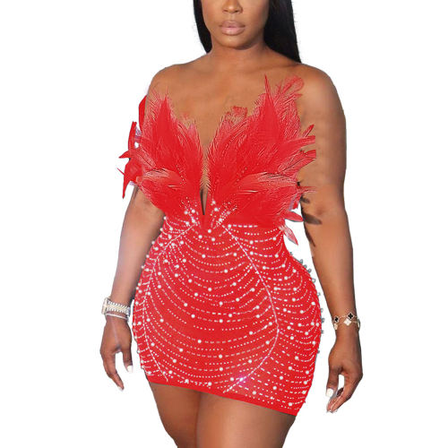 Red Feather Detail Rhinestones Mesh Bodycon Dress
